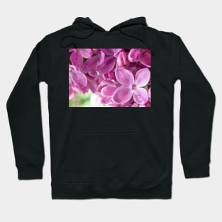 Purple Lilac Hoodie